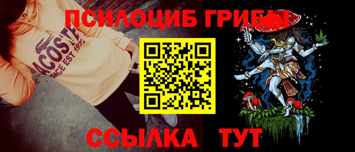 Галлюциногенные грибы GOLDEN TEACHER  Вход с VPN  Медногорск 